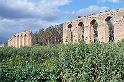 Carthage - Oued Milliane 100_6350
